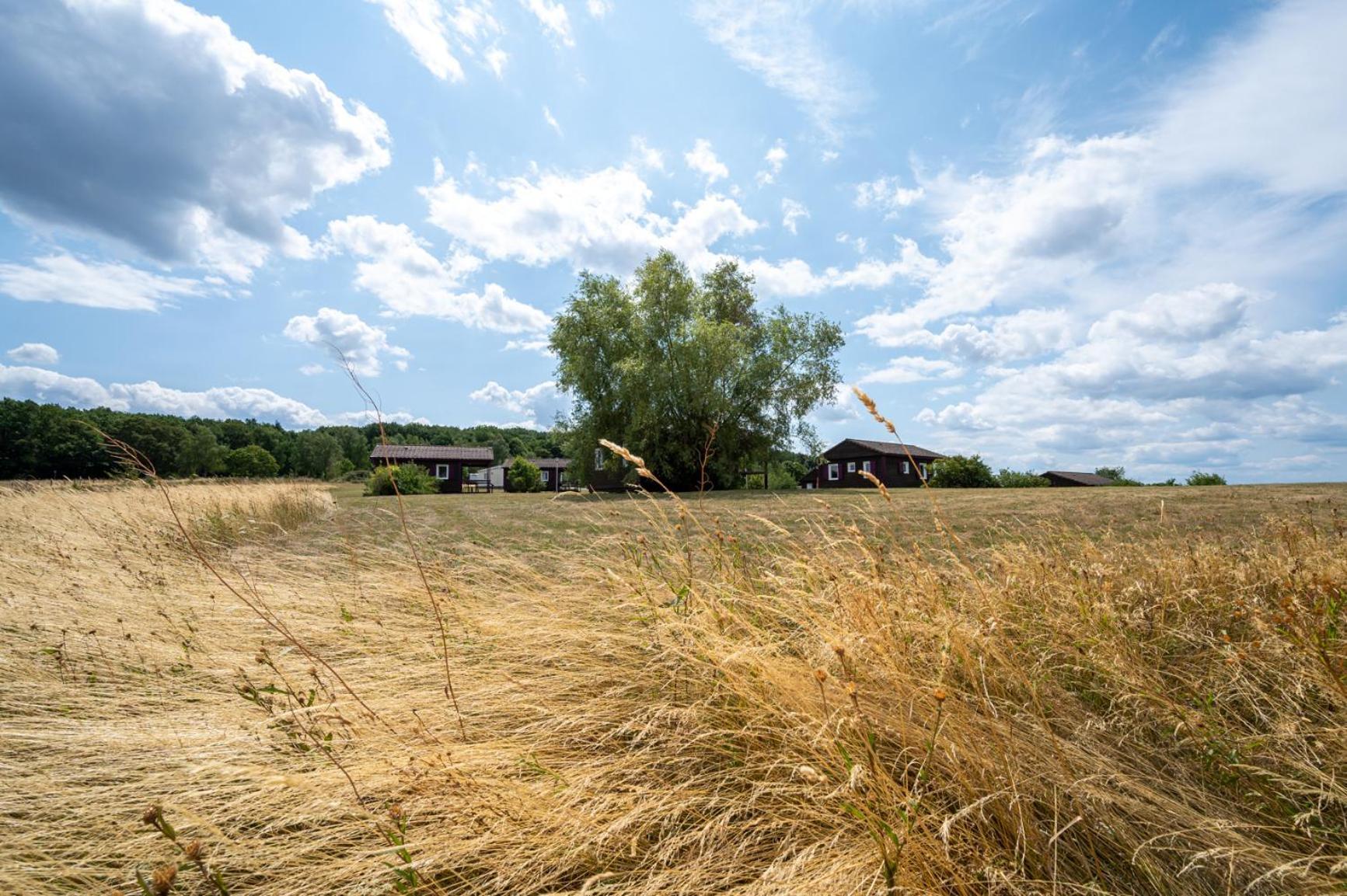 Camping Les Vosges Du Nord Oberbronn Kültér fotó